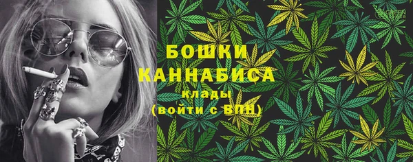 ECSTASY Богородицк