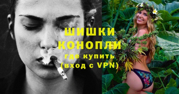 ECSTASY Богородицк