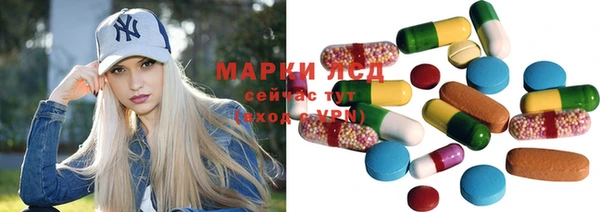 ECSTASY Богородицк