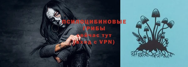 прущая мука Богданович