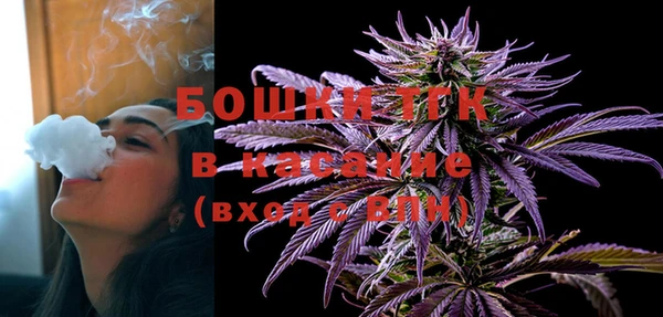 ECSTASY Богородицк