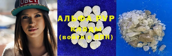ECSTASY Богородицк