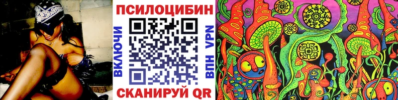 Псилоцибиновые грибы MAGIC MUSHROOMS  Купить закладки  Губкин 